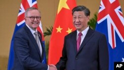 Perdana Menteri Australia Anthony Albanese (kiri) berjabat tangan dengan Presiden China Xi Jinping di sela KTT G20 di Nusa Dua, Bali, pada 15 November 2022. (Foto: Mick Tsikas/AAP Image via AP)