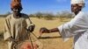 La gomme arabique du Soudan, qui représente 70% des exportations brutes mondiales, avait jusqu'à présent résisté à tout, des conflits au réchauffement climatique.