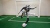 This photo shows a picture of the ARTEMIS robot, developed by researchers at the University of California, Los Angeles' Robotics and Mechanisms Laboratory. (Photo Credit: RoMeLa at UCLA)