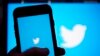 Twitter Election Impostors