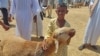 Wasudan wapoteza Shauku ya EID 