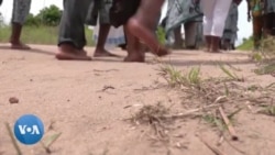 Festival "La porte du retour" à Lagos : la diaspora revisite le passé