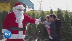 Californie : un sapin gratuit contre du recyclage