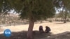 L'arganier du Maroc subit les effets du changement climatique