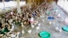 Des poussins de la ferme de M. Zoma, Ouagadougou, le 14 mars 2024 (VOA/Lamine Traoré)