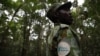 Le sommet One Forest pour protéger les forêts tropicales s'ouvre au Gabon