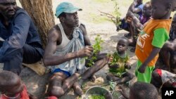 Des déplacés arrachent les feuilles des branches, se préparant à les faire bouillir et à les manger dans l'État de Jonglei, au Soudan du Sud, le 5 mai 2023.