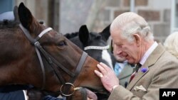 英國國王查爾斯在巴勒特地區出席一個招待會活動（2022年10月11日）