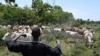 Un éleveur fulani surveille ses vaches près de Ouangolodougou, dans le nord de la Côte d'Ivoire, à proximité des frontières du Burkina Faso et du Mali.