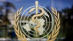 世衛專家組下月到中國調查病毒源頭 評論：可能為時已晚