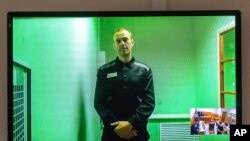 Pemimpin oposisi Rusia Alexei Navalny 