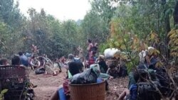 မြန်မာပြည်တွင်း အိုးအိမ်စွန့်ခွါ ထွက်ပြေးရသူ ၁ သန်းခွဲကျော်ရှိ (ကုလသမဂ္ဂ)