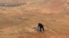 Moçambique tem que aumentar produção agrícola - FMI