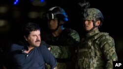 Joaquin "El Chapo" Guzman à Mexico, le 8 janvier 2016 