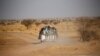 Niger: une vingtaine de civils tués en début de semaine près du Mali