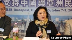 高瑜2012年10月在布達佩斯全球支持中國和亞洲民主化論壇大會上演講（民主中國陣線總部理事李震拍攝）