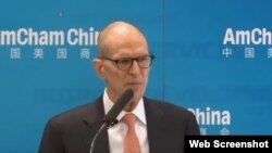 中國美國商會主席威廉扎里特(William Zarit) (資料圖片)