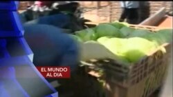 El Mundo al día