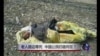 时事大家谈：老人路边等死，中国公民归宿何在？