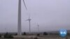 More Wind Power, Renewables Needed to Fight Climate Change, Experts Warn