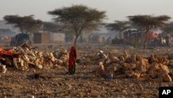 Un camp pour personnes déplacées par la sécheresse à Qardho, Somalie (9 mars 2017)
