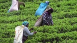 Challenges for Rural Women Focus of UN Women's Conference