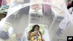 Nadia Gonzalez, une patiente au Paraguay, le 5 février 2016. (AP Photo/Jorge Saenz)