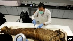 Les conservateurs égyptiens nettoient une momie féminine datant de la fin de la période pharaonique (712-323 av. J.-C.), dans le centre de conservation du Grand musée d'Égypte en construction, juste à l'extérieur du Caire, en Égypte, le 17 mars 2014.
