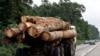 Accord de financement entre Brazzaville et la BEDEAC; vente par anticipation du cacao ivoirien