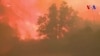 La Californie lutte contre les incendies
