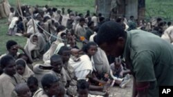 Feeding the hungry at Korem, Ethiopia, June 1985