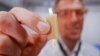 Senior researcher Mario Caironi shows a rechargeable edible battery made from food in Milan