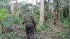 RDC : Une cinquantaine de combattants neutralisés au Nord-Kivu