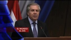 El Mundo al día