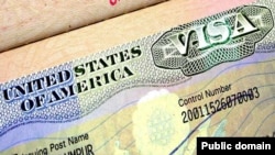 Hakim federal AS memblokir dua peraturan pemerintahan Trump yang bertujuan untuk membatasi visa pekerja terampil (H-1B). (Foto: ilustrasi).
