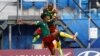 Deux Néerlandais pour entraîner les Lions indomptables du Cameroun