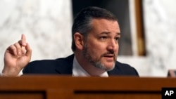 資料照：共和黨聯邦參議員克魯茲（Sen. Ted Cruz, R-TX）
