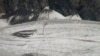 16x9 Image