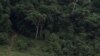 La Norvège va payer le Gabon pour ne pas déforester: "une récompense"