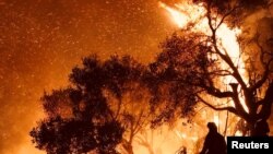 Des pompiers tenant tête aux flammes sur Shepherd Mesa Road à Carpinteria, en Californie, le 10 décembre 2017, Reuters.