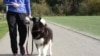 Can Dogs Help Reverse Human Aging ?