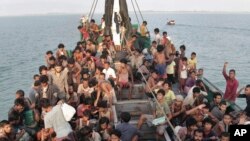 Hindistan Keşmir&#39;de lale bahçesi