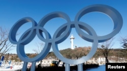 南韓平昌為迎接冬奧會豎起的奧運五環 （2018年1月23日）