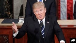 Le président Donald Trump au Congres. (AP Photo/Pablo Martinez Monsivais)