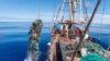 Ocean Voyages Institute in Sausalito, California works to clean up trash in the ocean. Here, tons of garbage – much of it plastic -- from the Great Pacific Garbage Patch is being lifted onto a cargo sailing ship. The debris is recycled or turned into fu