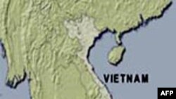 Cựu chiến binh VNCH phát hiện mộ chôn tập thể của bộ đội CS